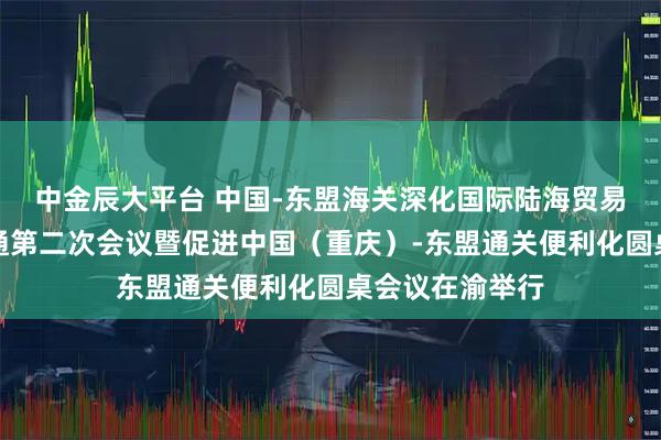 中金辰大平台 中国-东盟海关深化国际陆海贸易新通道互联互通第二次会议暨促进中国（重庆）-东盟通关便利化圆桌会议在渝举行