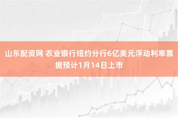 山东配资网 农业银行纽约分行6亿美元浮动利率票据预计1月14日上市