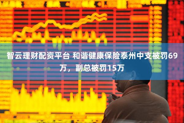 智云理财配资平台 和谐健康保险泰州中支被罚69万，副总被罚15万